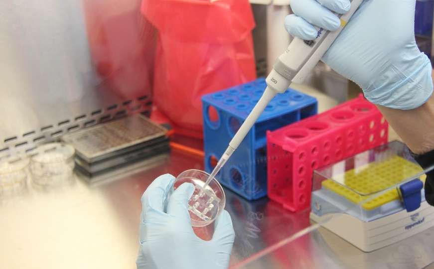 Spas od raka: Naučnici otkrili 'kod za samouništenje' u stanicama