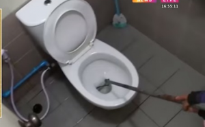 Za penis ga ugrizao trometarski piton koji je vrebao iz WC školjke