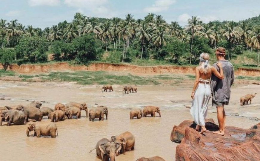 Zabavne fotografije s društvenih mreža: Slonovi na Plitvičkim jezerima
