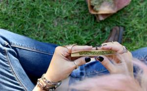 Nemate posao, volite putovati i pušiti marihuanu? Ovaj oglas će vam se svidjeti