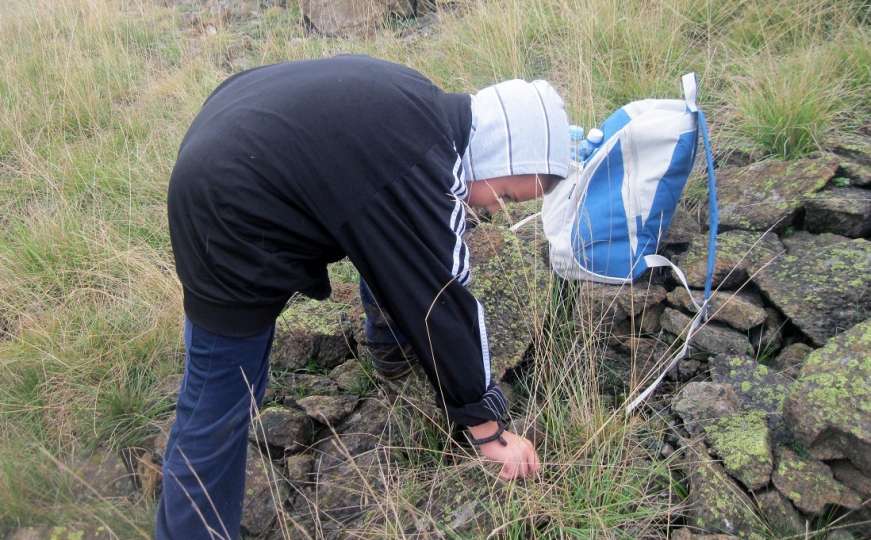 Baština čovječanstva: "Branje trave ive na Ozrenu" upisano na listu UNESCO-a