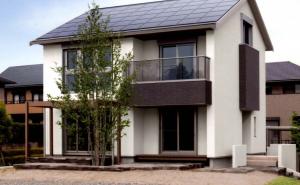 Japan besplatno dijeli napuštene kuće