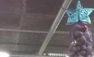 Nije jelka sve što sija...