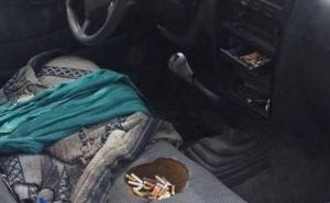 Kako nam je dosadan život ili 13 fotografija koje je teško objasniti