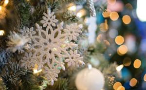 Zašto kitimo jelku i koja je njena simbolika?