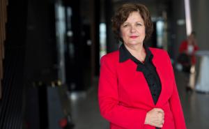 Marinković Lepić: Pod hitno imenovati šefa Misije BiH u Briselu