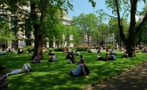 Stručnjaci tvrde: Život blizu parka čuva srce i krvne sudove