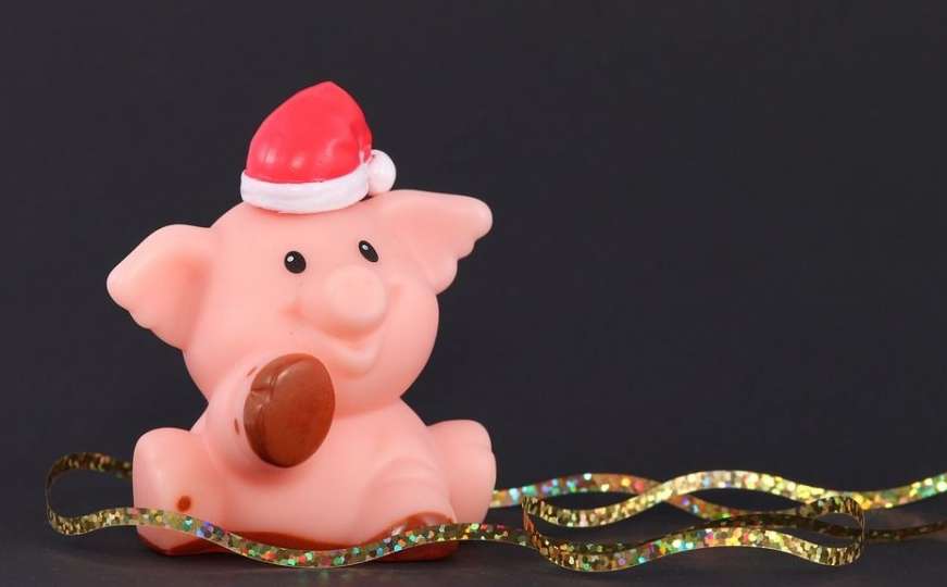 Godina svinje: Šta predviđa kineski horoskop za 2019. godinu