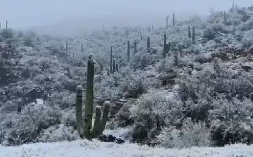 Snijeg pao u pustinjama Arizone: Zabijelili kaktusi i Veliki kanjon