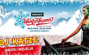 Ovog vikenda sjajna zabava uz „Telemach Winterhana market & fun zone“