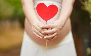 Trudnoća povećava interes za zdravlje