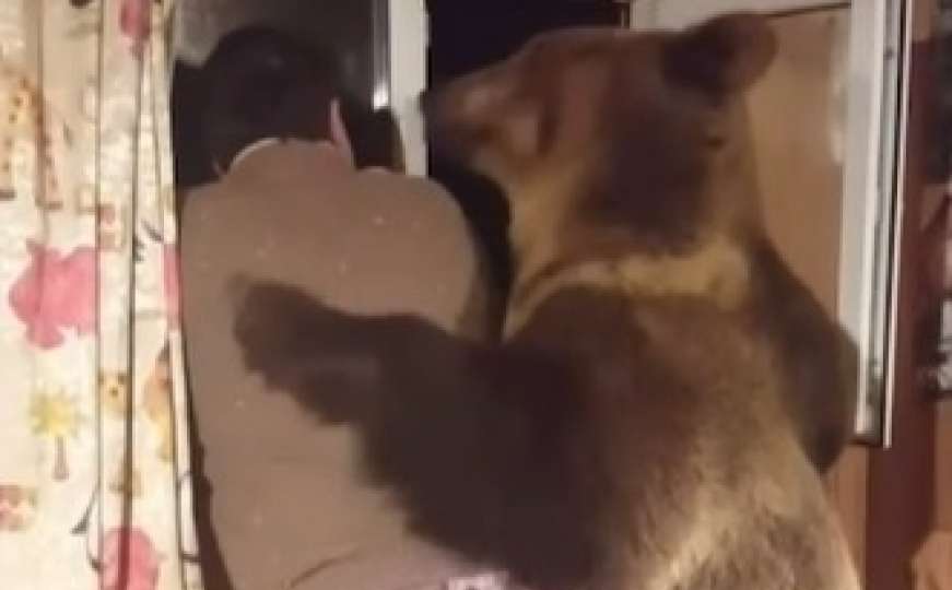 Neobična prijateljstva: Medvjed i čovjek u zagrljaju uživaju u zimskoj idili