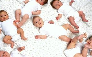 Šta je uzrok baby boom-a u sarajevskoj Općini Novi Grad?