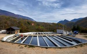 U BiH proizvedeno 3.700 tona ribe, kapacitet 13.000 tona