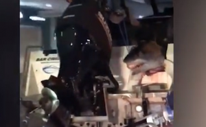 Ma, da li je moguće: Ovo možete vidjeti samo u jednoj državi na svijetu