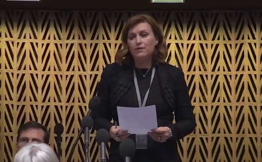 Srbijanska političarka u Vijeću Europe: "Jor opijon end venišn komišn"