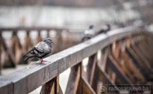 U Sarajevu jutros 5, u Mostaru 6 stepeni: Za vikend oluja, kiša i snijeg