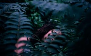 Loši, lijepi i zbunjujući: Saznajte značenje vaših snova