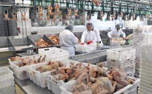 Uskoro odluka o kompanijama koje će moći izvoziti meso peradi u EU