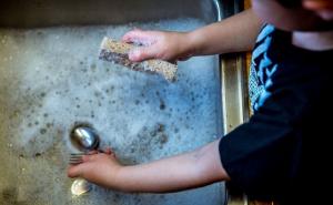 Leglo bakterija: Koliko često trebate mijenjati kuhinjsku spužvu