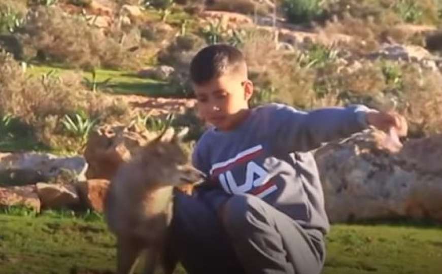 Nevjerovatna priča: Dječak Hamza pripitomio vuka