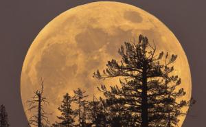 Svemirski fenomen: Večeras možete uživati u Super Mjesecu iznad BiH