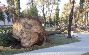 Vjetar "ugasio svjetlo" u Hercegovini: Bez struje ostali Gacko, Bileća, dio Trebinja