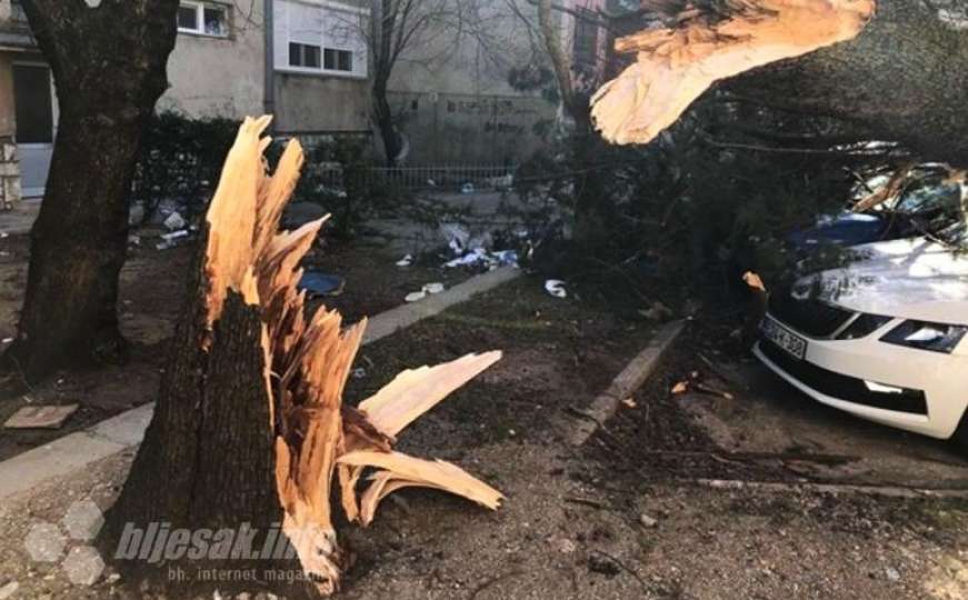 Olujni vjetar u BiH: Vjetar srušio stablo na vozilo, povrijeđen vozač