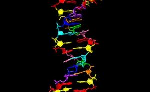 Hachimoji: NASA stvorila vještačku DNK!