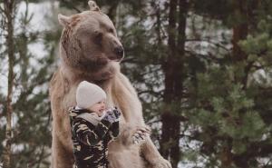 Samo u Rusiji: Veliki medvjed bori se sa svojim vlasnikom za mjesto na kauču