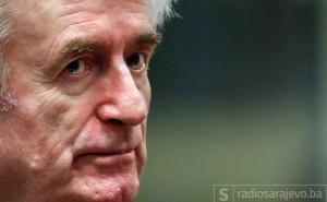 Karadžić nije kriv za genocid u sedam općina