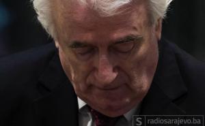 Pogledajte trenutak kada sudija kaže Karadžiću da je dobio doživotnu kaznu