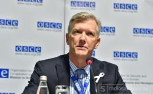OSCE: Presuda Karadžiću je korak ka pravdi