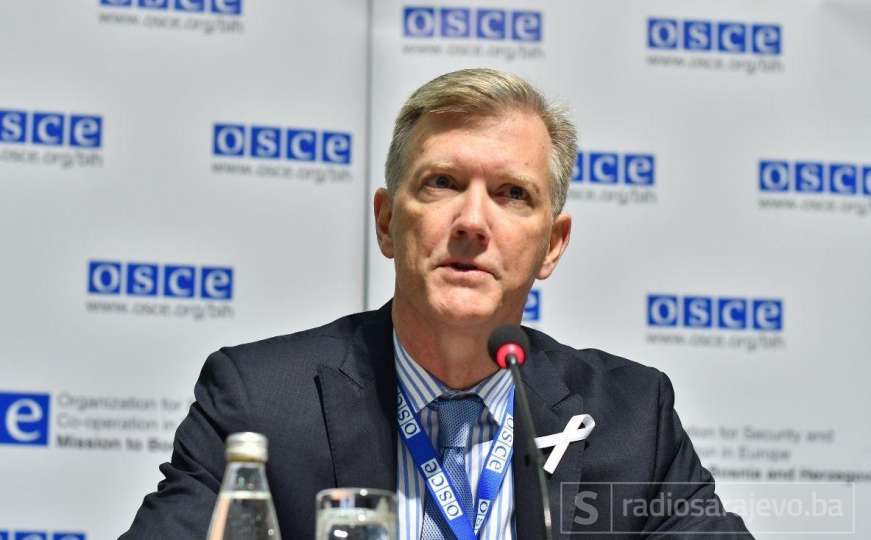 OSCE: Presuda Karadžiću je korak ka pravdi