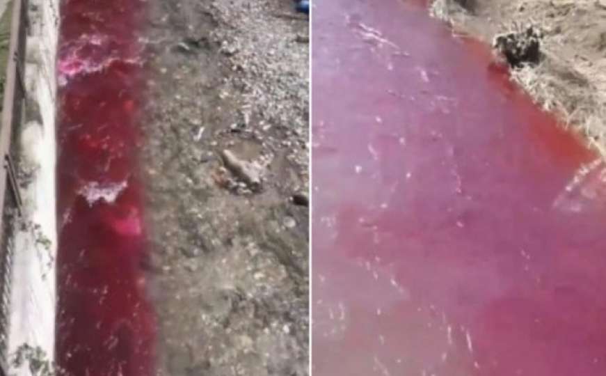 Jeziv prizor: U Bijelom Polju tekla krvava rijeka