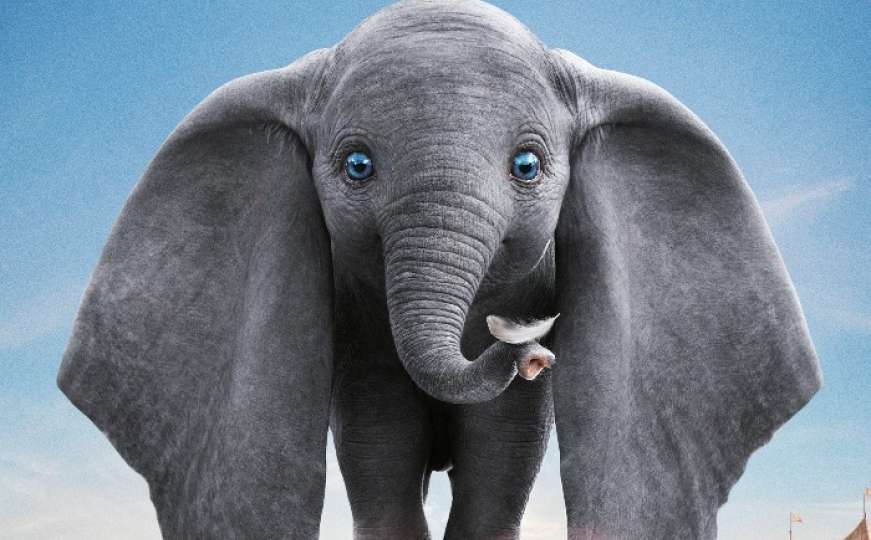 Cinema City: Stiže "Dumbo" Tima Burtona