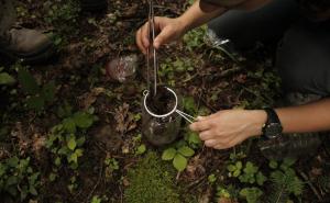 Značajno otkriće na Kozari: Otkrivene desetine novih vrsta!