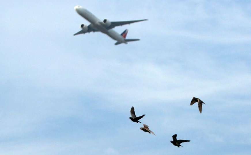 Iznad aerodroma u Sarajevu: Sudarili se avion i jato ptica i prepali putnike