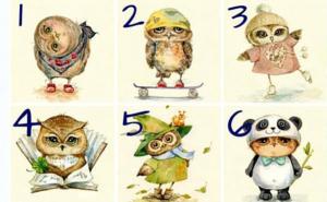 Izaberite sovu koja vam se najviše dopada i saznajte kakvu poruku vam nosi