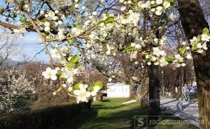 Jutros na Bjelašnici -9: Stižu nam opet sunčani dani i temperature od 22 stepena