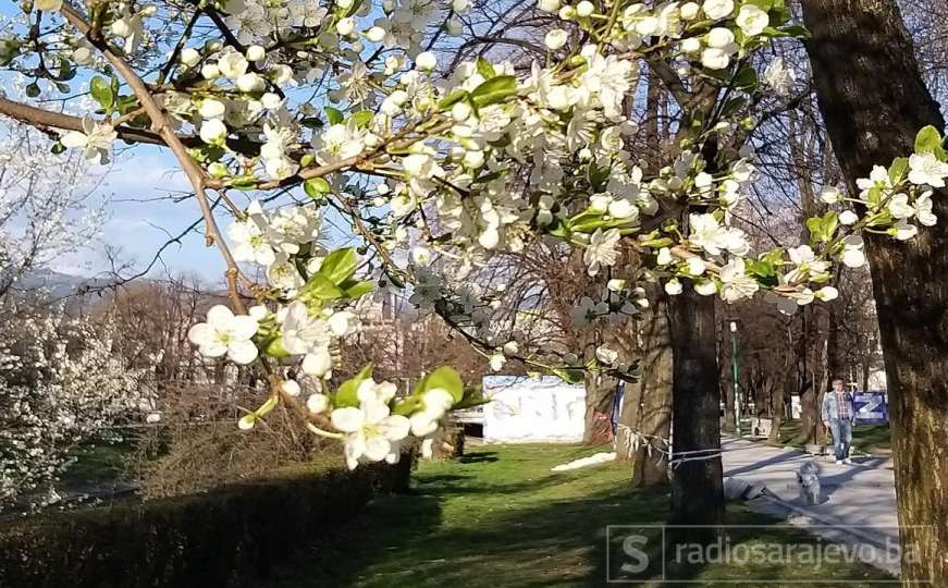 Jutros na Bjelašnici -9: Stižu nam opet sunčani dani i temperature od 22 stepena