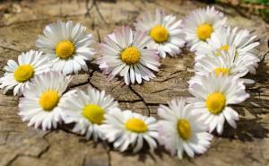 Horoskop: Šta su vam zvijezde pripremile u prvom proljetnom mjesecu