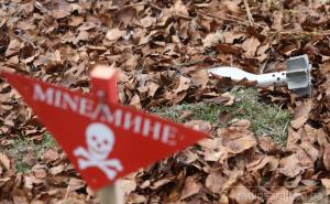 BiH bi do 2025. godine trebala biti očišćena od mina