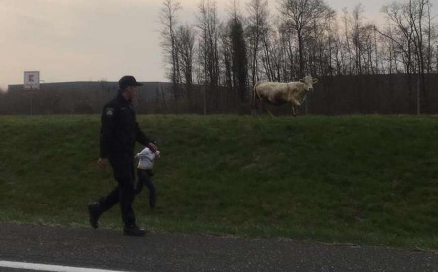 Stani kravo, policija: Milka i Danica bježale su im satima