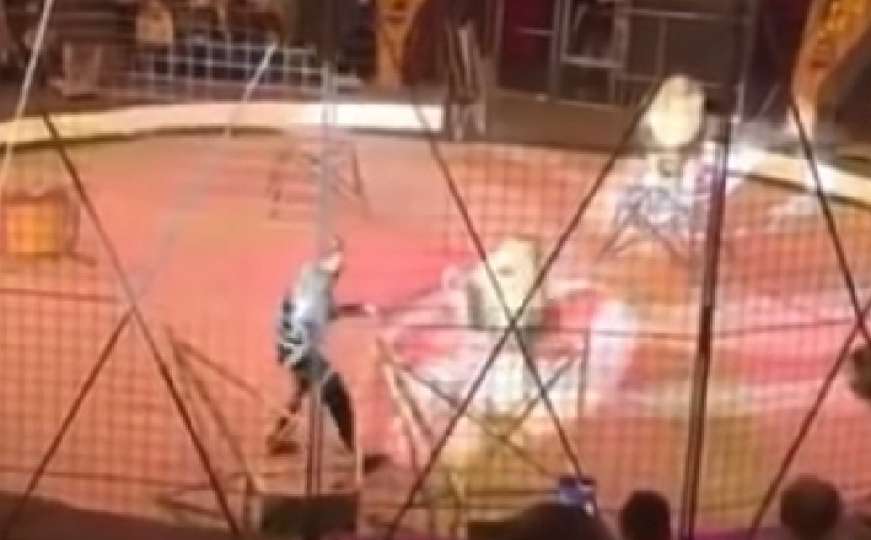 Tokom izvođenja predstave zabavljača napao lav: Publika je bila zaprepaštena