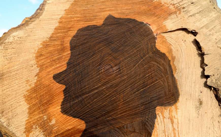 Orah "zapamtio": U posječenom stablu starom 120 godina našao siluetu žene