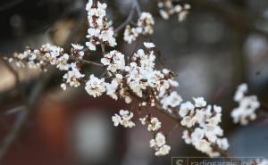 Gradačac, Banja Luka i Doboj jutros topliji od Neuma: Evo i prognoza do petka