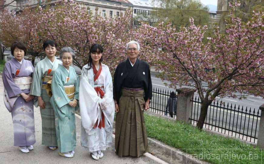 Festival „Sakura Matsuri“: Jedinstven događaj iz hiljadugodišnje tradicije