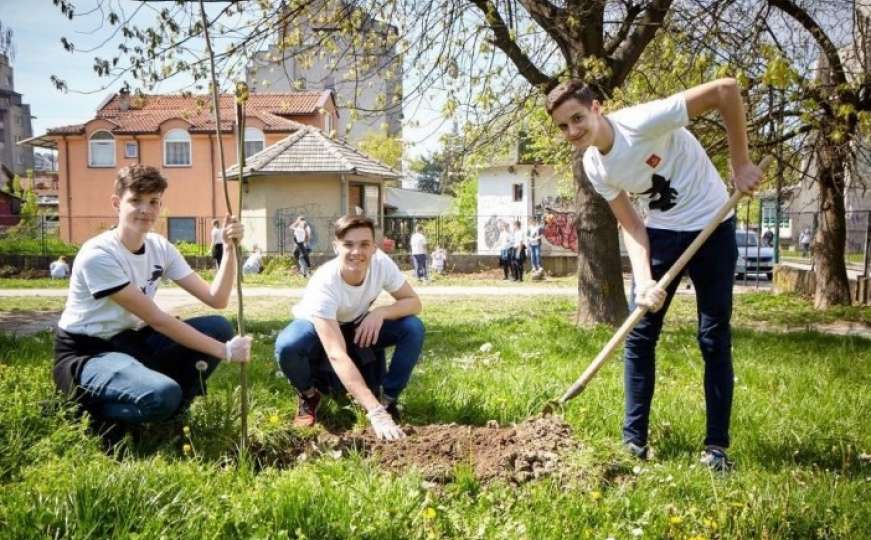 Učenici OŠ 'Lukavac Grad' zasadili 500 novih stabala
