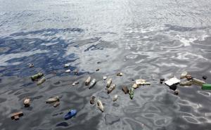 Do 2050. godine u svjetskim morima će biti više plastike nego ribe 